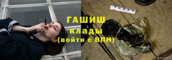 крисы Алзамай