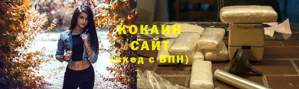 крисы Алзамай