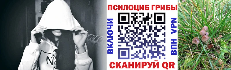 Галлюциногенные грибы MAGIC MUSHROOMS  закладки  ссылка на мегу ссылка  даркнет клад  Яровое 