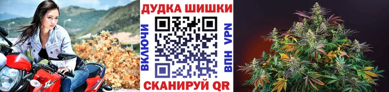 Каннабис Amnesia  Яровое 